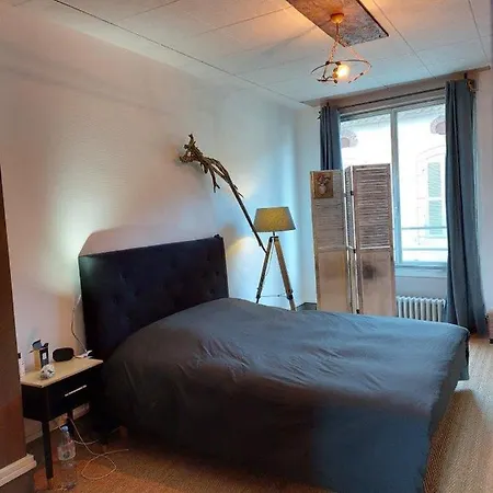 Loft Partage Agreable Et Spacieux Homestay Aire-sur-l'Adour